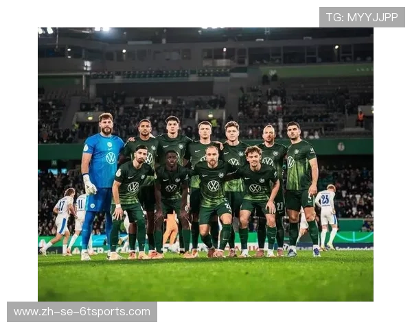 德甲球队科普视频：深入了解德甲联赛